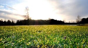 SUVI GOLFIGA! Niitvälja otsib tarmukaid vabatahtlikke