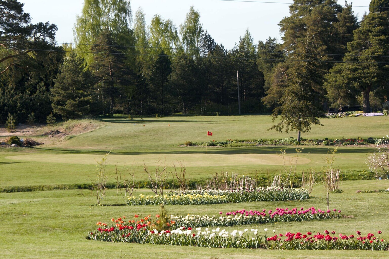 OJASAARE KUTSUB! Golfivõistlus Isa Lapsega toob rajale isad, tütred ja pojad Ojasaare