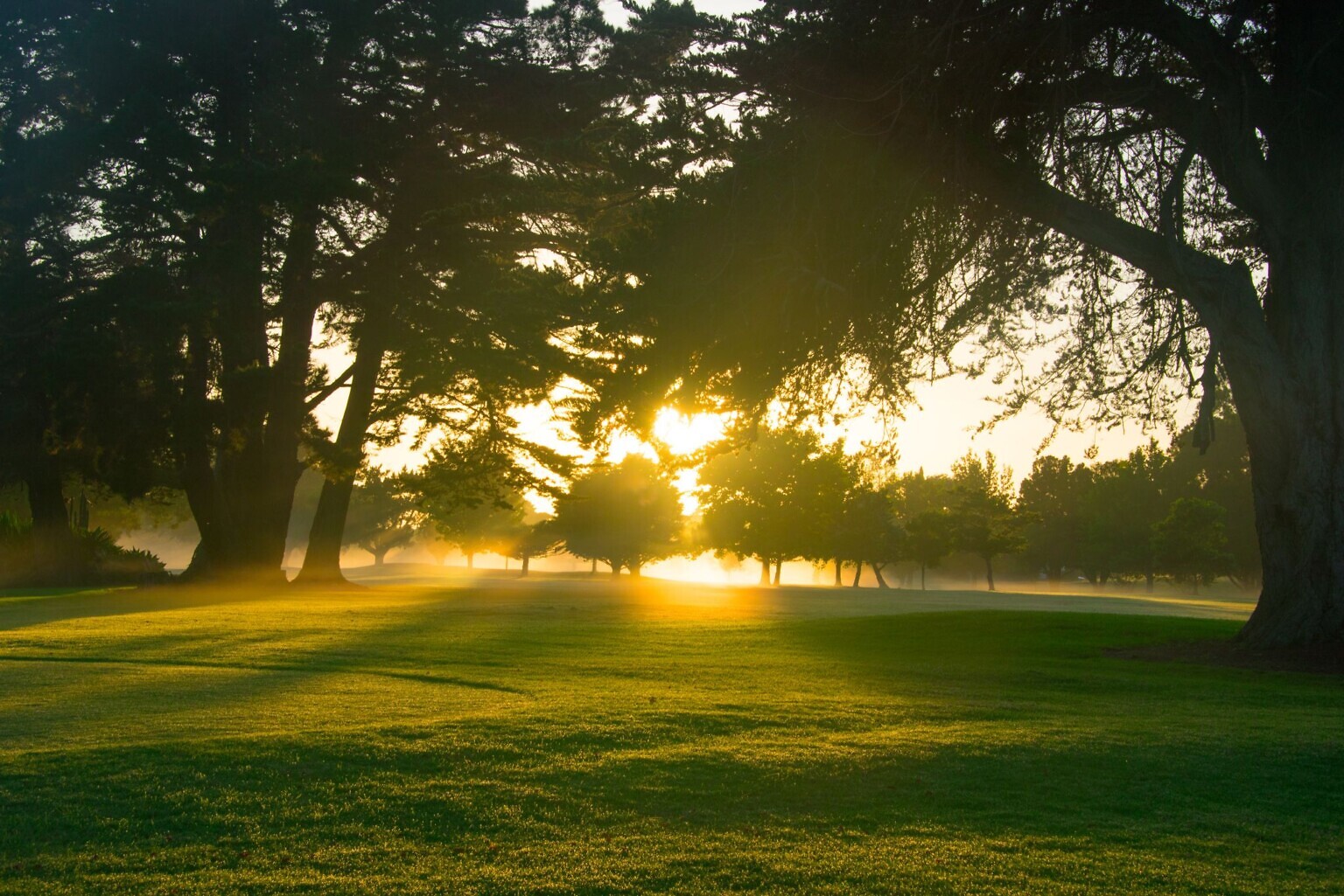 Harku valda rajatakse hoovigolfi väljakud