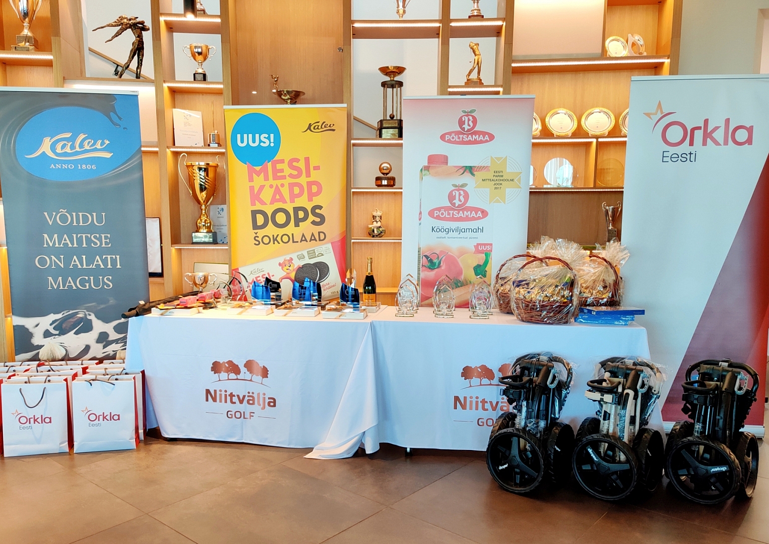 Vaata Niitvälja Golfi Orkla Eesti Cup 2020 tulemusi