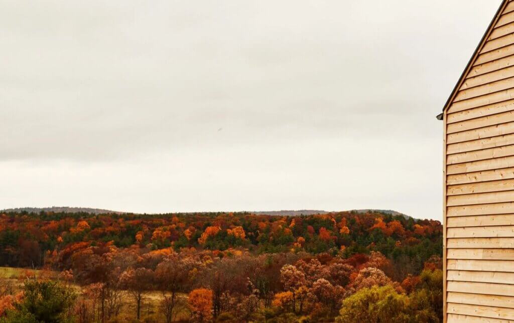Disainer Taavo Sõmer avas New Yorgi osariigis väljaku